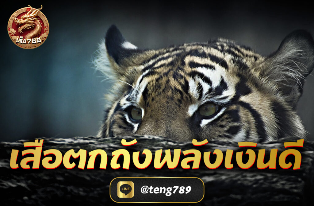 เสือตกถังพลังเงินดี